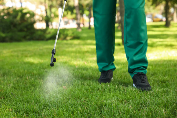 Best Best Pest Control Companies  in Chino Hills, CA