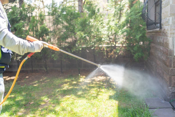 Best Wasp Removal Services  in Chino Hills, CA