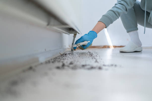 Best Best Pest Control Companies  in Chino Hills, CA